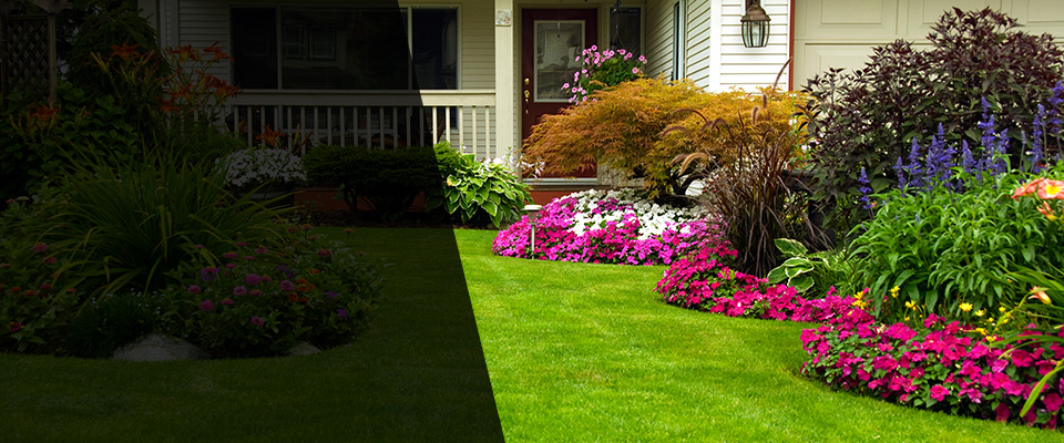 Plato Landscapers