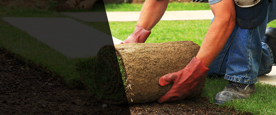 Plato Landscapers